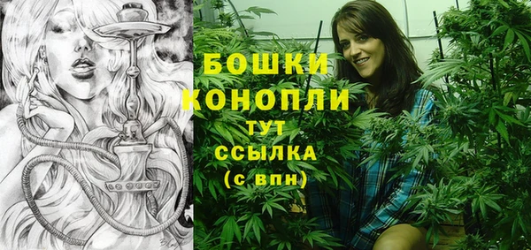 амф Заволжье